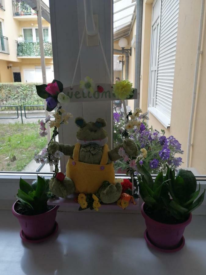 Apartman "Garden" Novi Sad Exterior foto